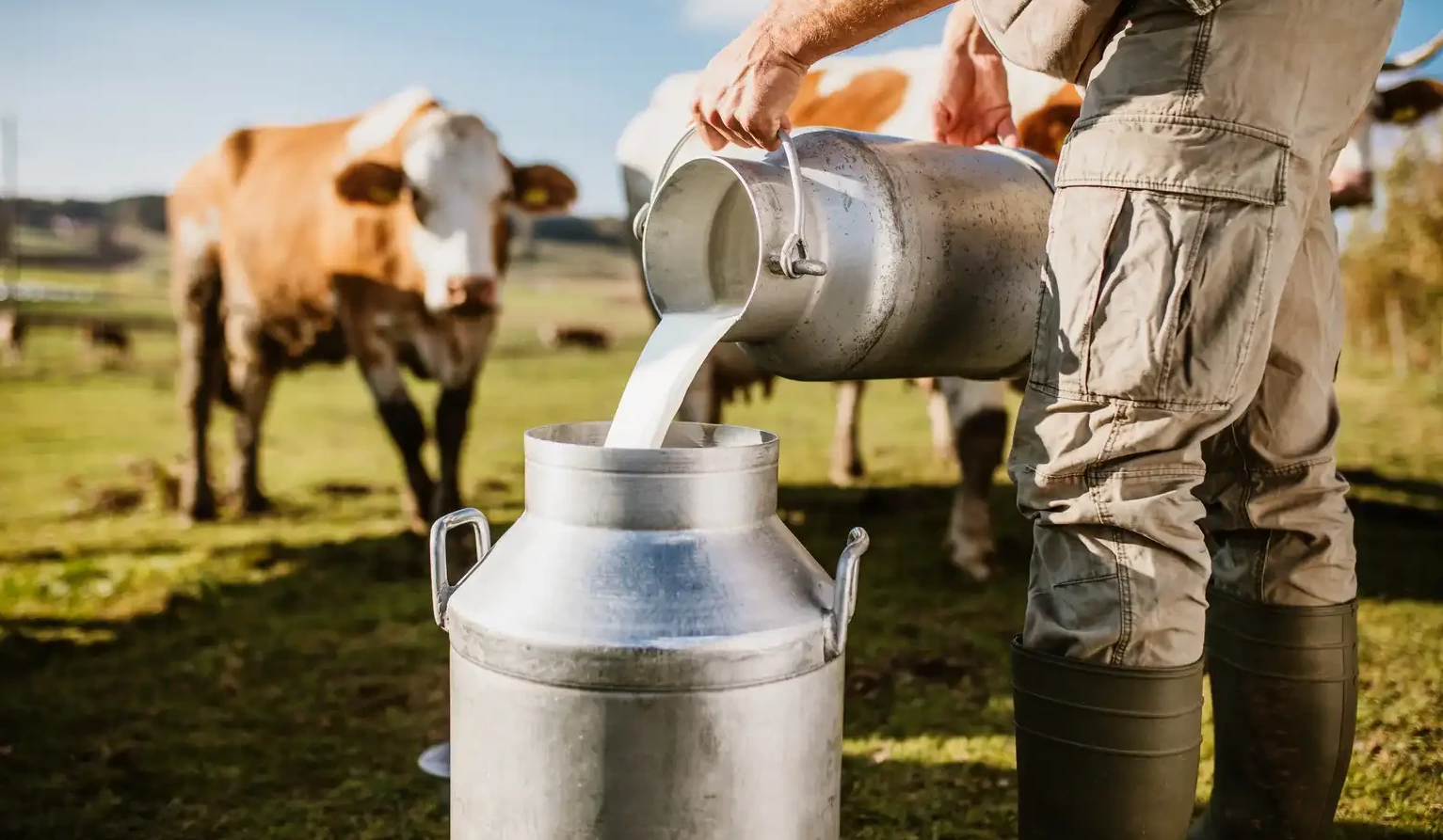 image from Testing raw milk quality